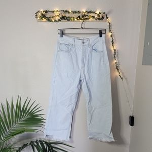 American Eagle Wide Leg Crop